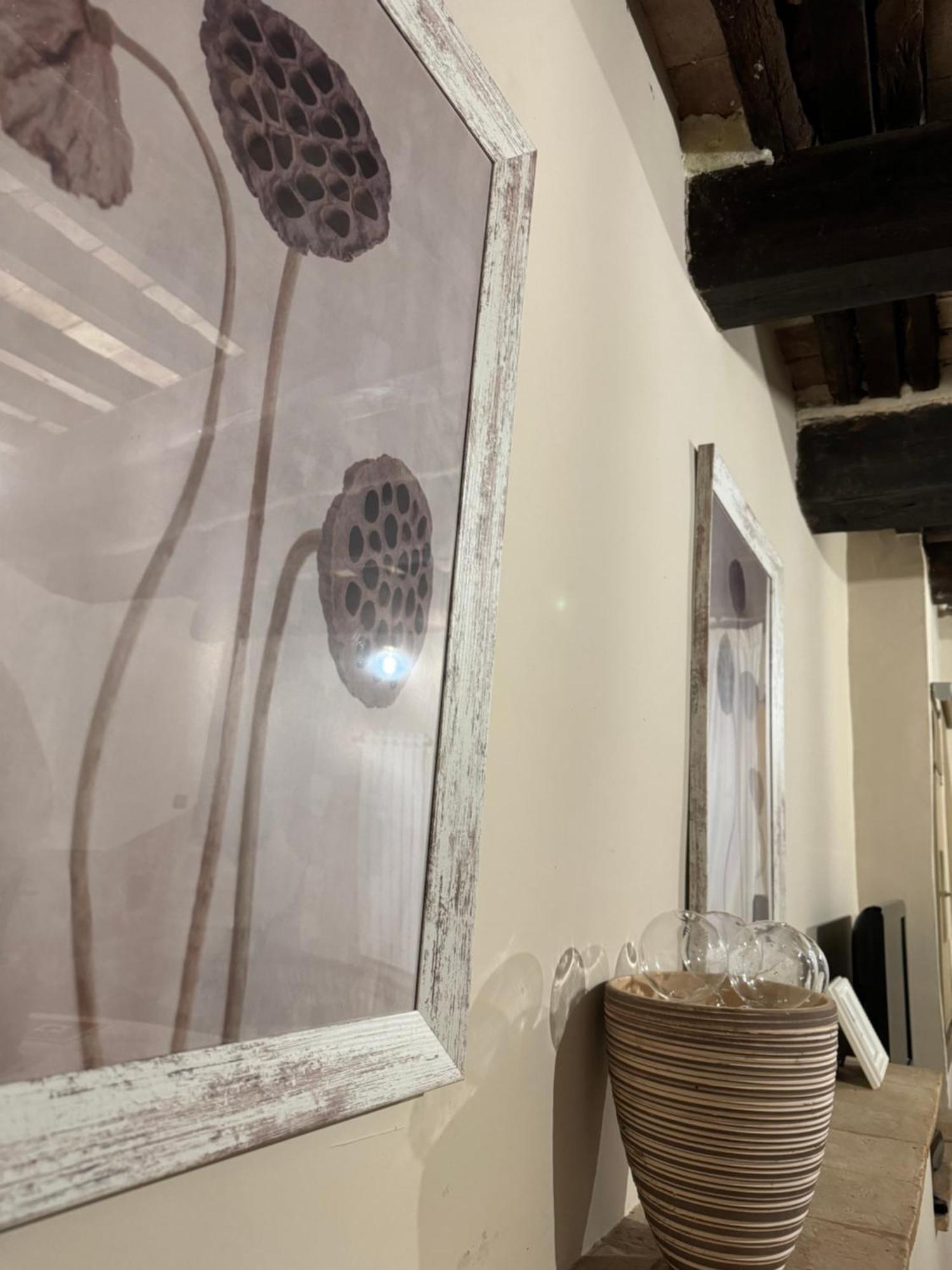Sforza House Hotel Acquapendente Ngoại thất bức ảnh